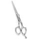 Professional Hair Cutting Scissors